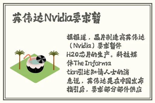 柚子TV一区二区视频免费